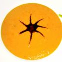 Low Carb Rezept | Fruchtige Kürbissuppe